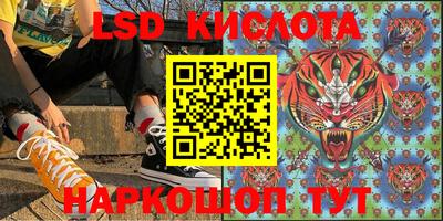 Альфа ПВП Ставрополь