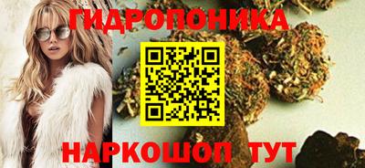 Альфа ПВП Ставрополь
