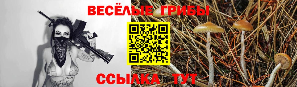 Галлюциногенные грибы GOLDEN TEACHER Нижневартовск