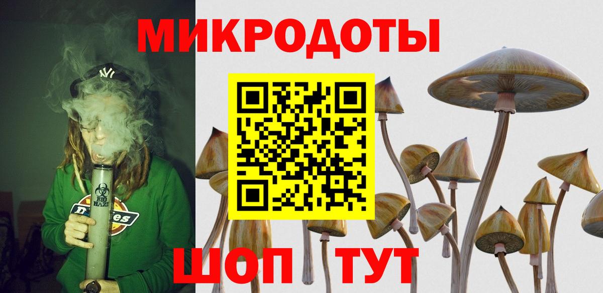 Псилоцибиновые грибы Psilocybine cubensis  Вход с VPN  Нижневартовск  Галлюциногенные грибы Psilocybine cubensis 